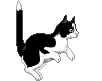 fig_301 animation