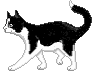fig_302 animation
