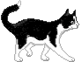 fig_303 animation