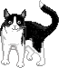 fig_304 animation