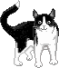 fig_305 animation