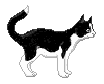 fig_306 animation
