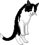 fig_307 animation