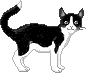 fig_310 animation