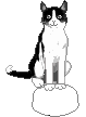 fig_311 animation