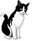 fig_315 animation