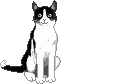 fig_316 animation