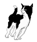 fig_320 animation