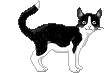 fig_321 animation