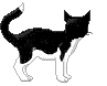 fig_322 animation