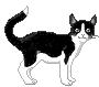 fig_324 animation