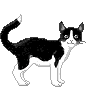 fig_325 animation