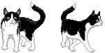 fig_304 sprite sheet
